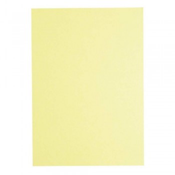 Light Colour A4 80gsm Paper - Ivory
