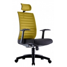 PRO 1 Executive Mesh Chair